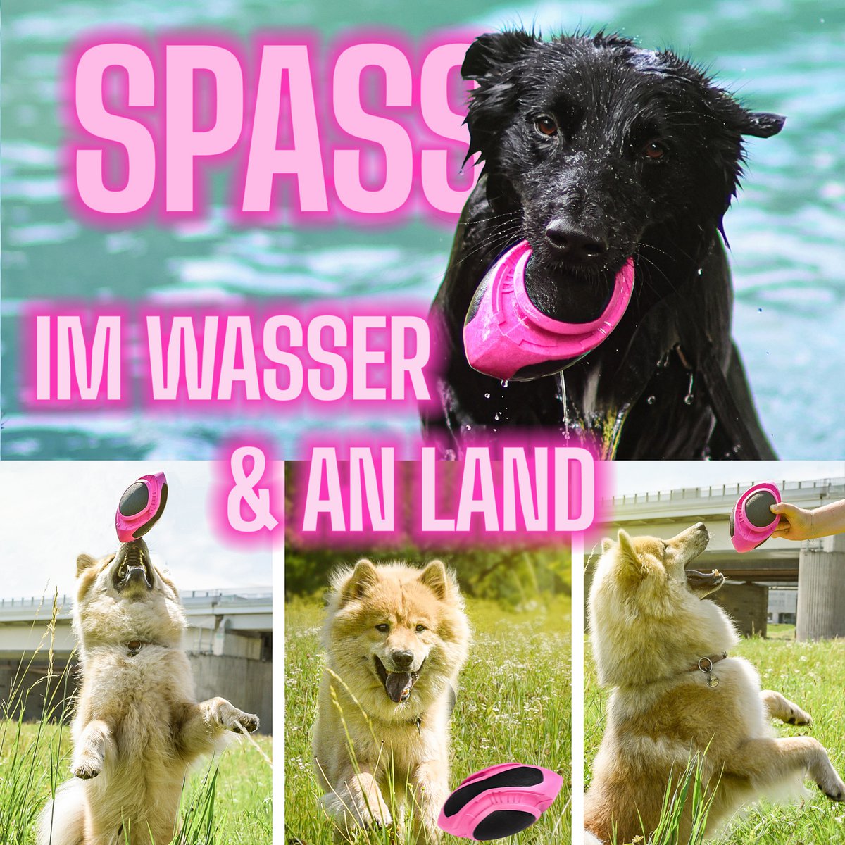ne & no® dog football-floatable - Image 3