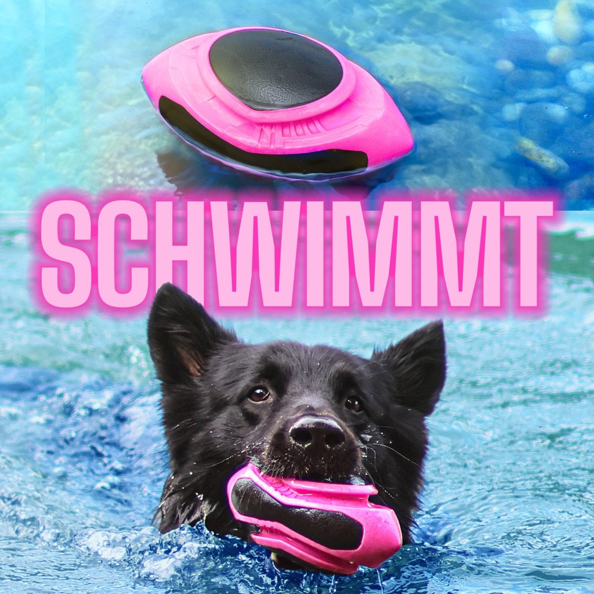 ne & no® dog football-floatable - Image 4