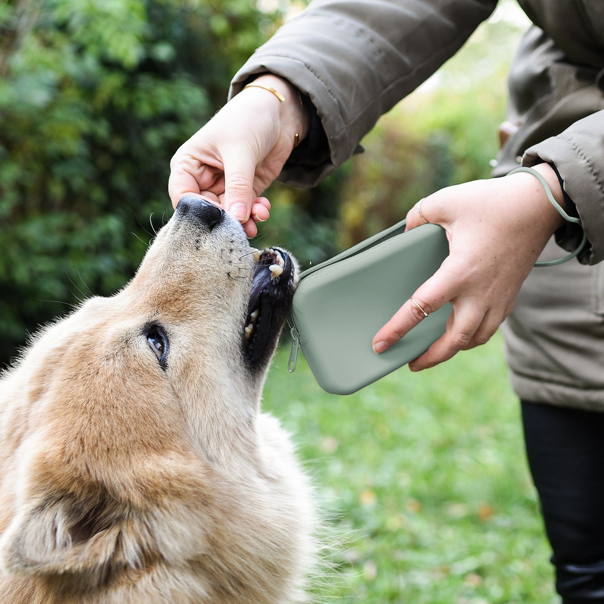 ne&no® Leckerlitasche aus Silikon für Hunde - Image 6