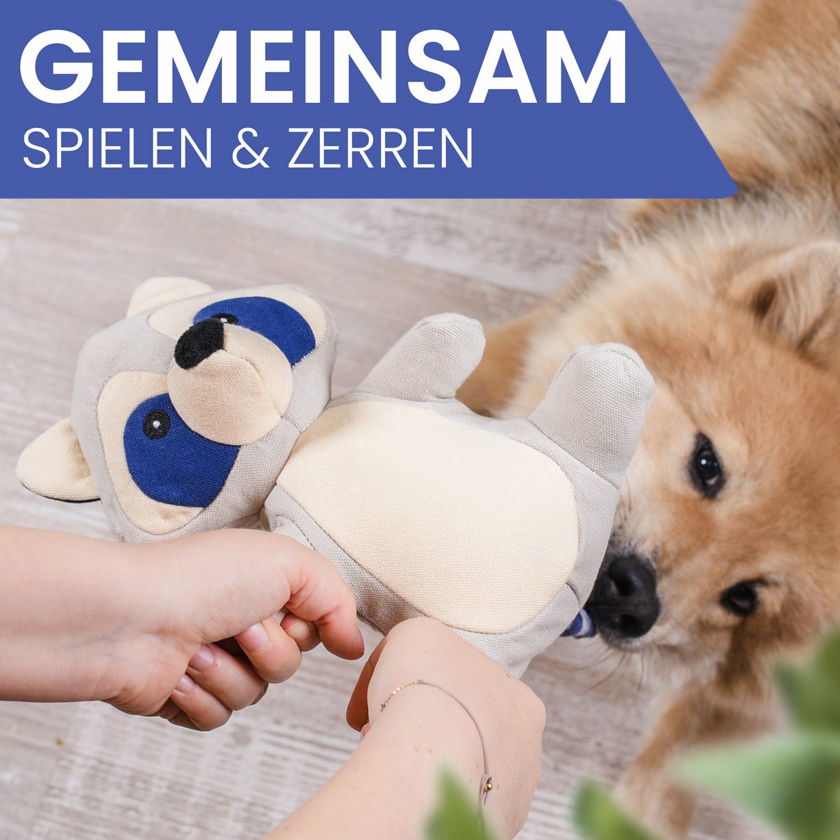 ne & no dog toy - dog stuff with squeaker - cheeky raccoon Wally - Image 4