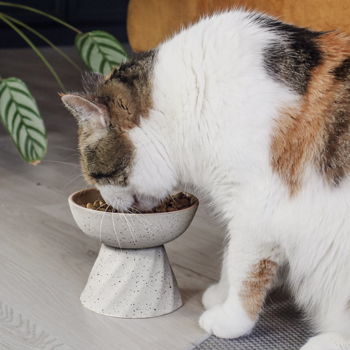 ne & no® increased ceramic food bowl for cats in stone optics - Image 2