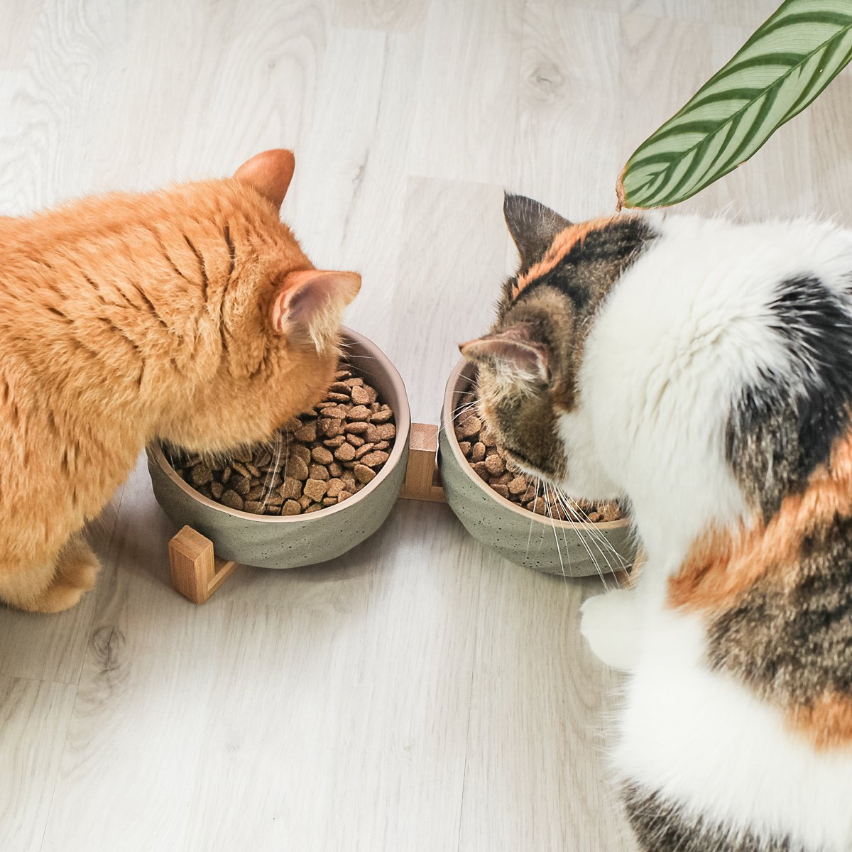 ne & no® ceramic double -food bowl with bamboo tap i 2er - Image 2