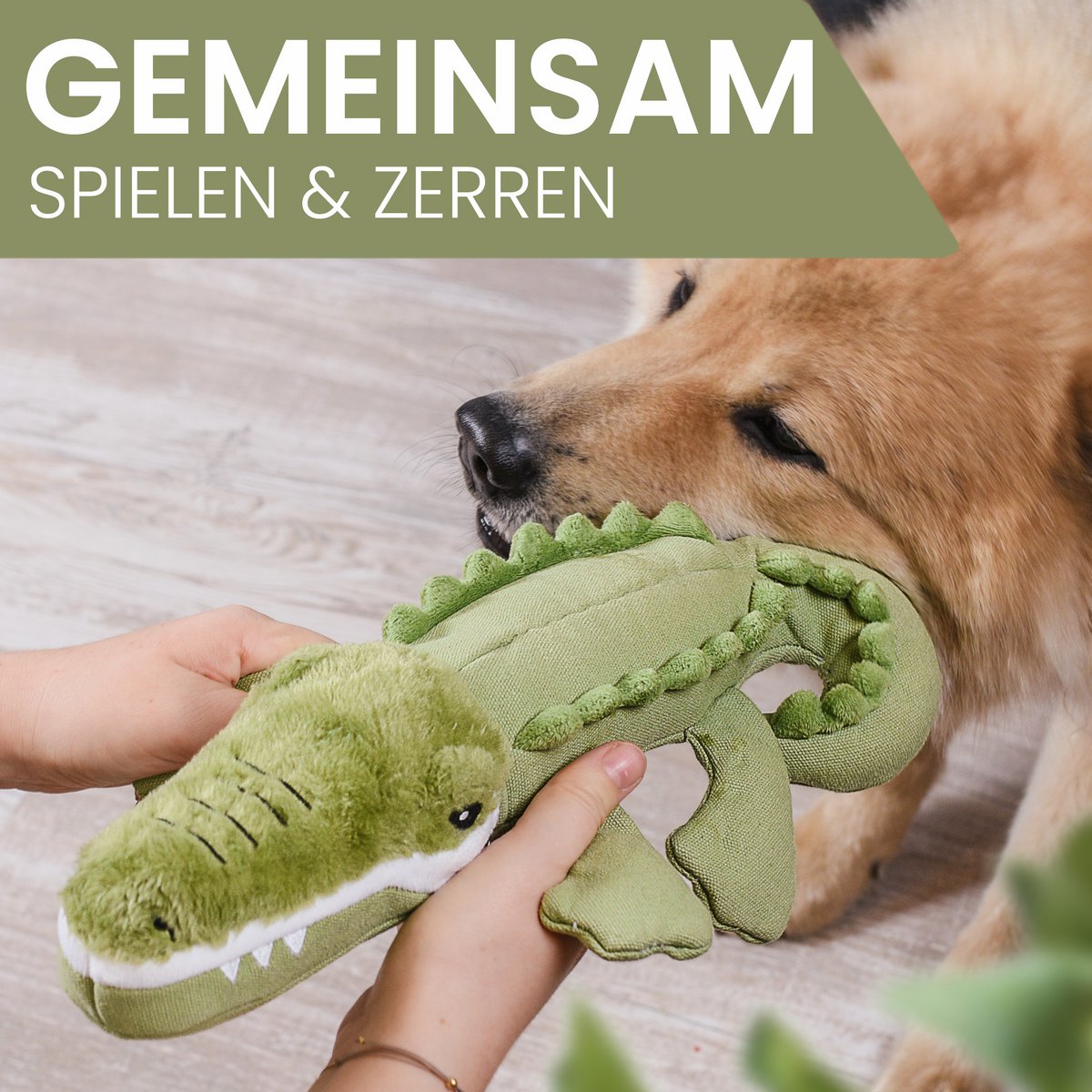 ne & no dog toy - dog die with squeaker i toy from canvas: Keckes Krokodil Kris - Image 4