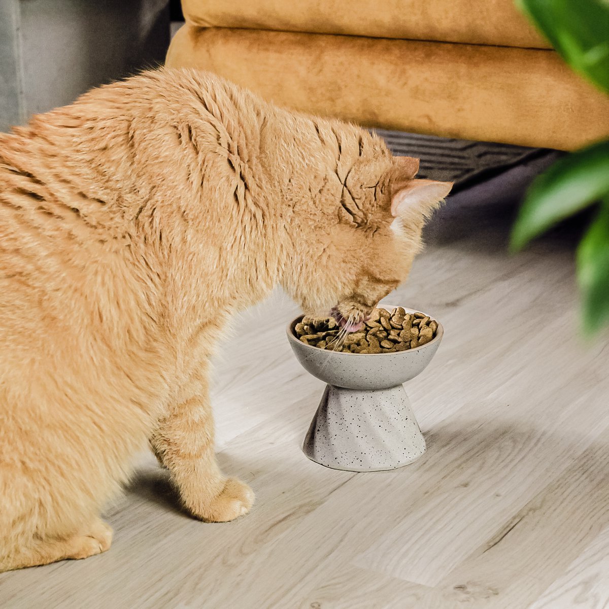ne & no® increased ceramic food bowl for cats in stone optics - Image 5