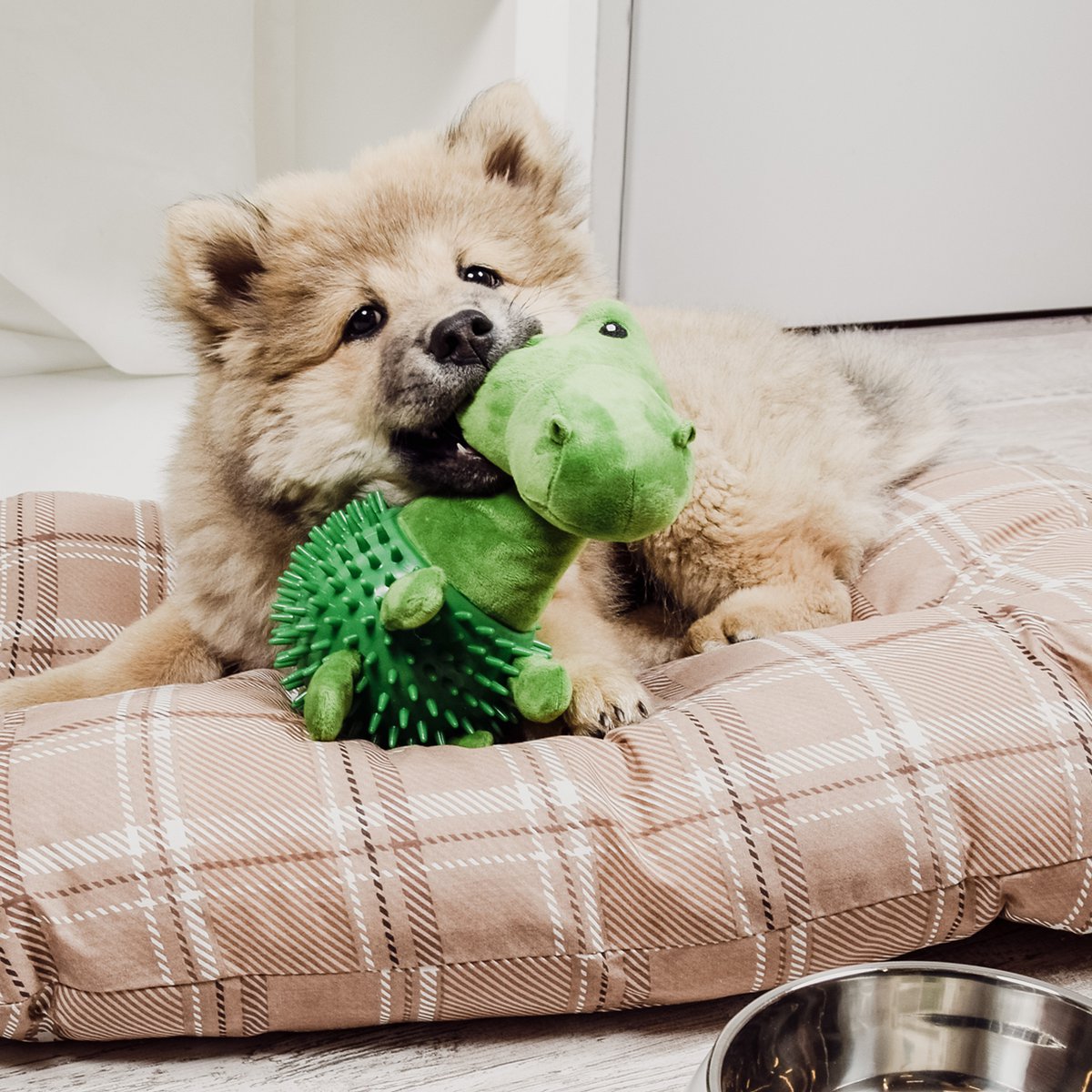 ne & no® dog toys dino/ plush animal + Kielzeiten + squeaker - Image 2