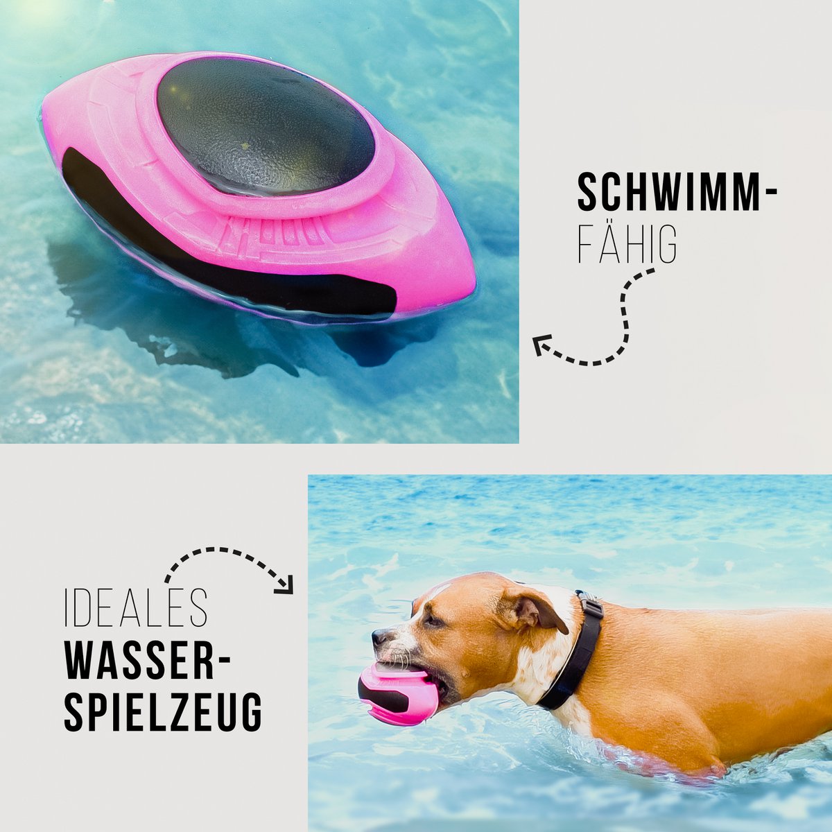 ne & no® dog football-floatable - Image 10