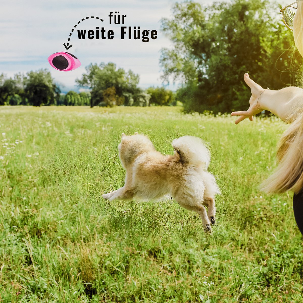 ne & no® dog football-floatable - Image 9