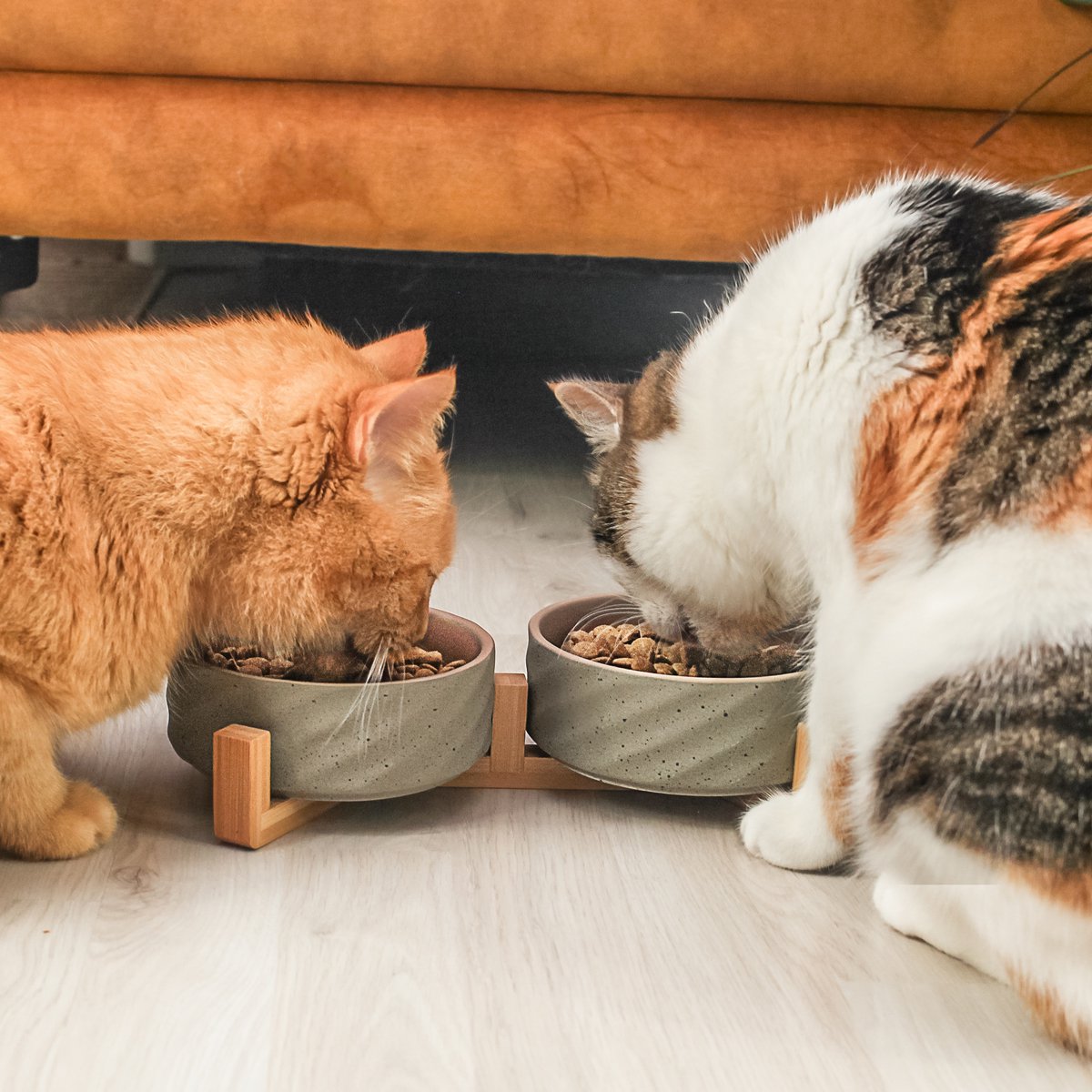 ne & no® ceramic double -food bowl with bamboo tap i 2er - Image 6